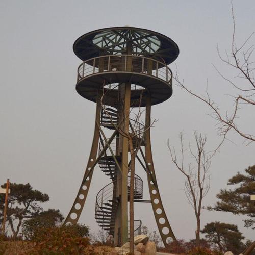 观光塔的无线电工程技术 信号传输与观光功能的融合